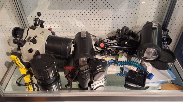 Lot 1343 - CANON EOS5D