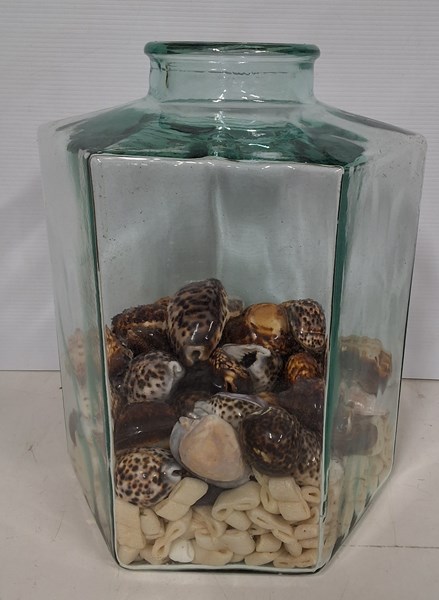 Lot 1355 - JAR OF SHELLS