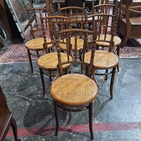 Lot 6 - DINING CHAIRS