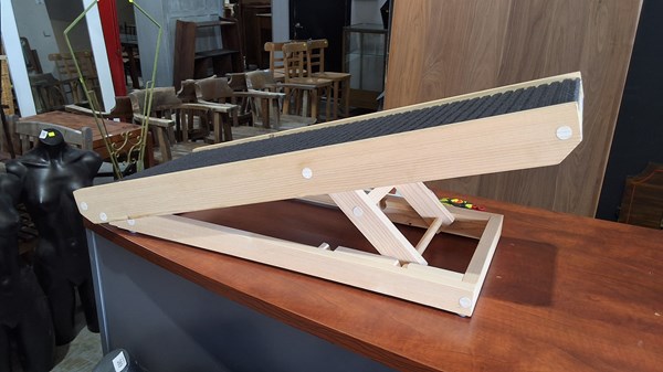 Lot 395 - PET RAMP