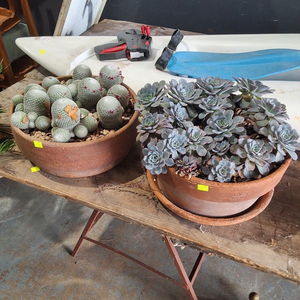 Lot 447 - TABLE POTS