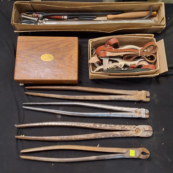 Lot 1331 - VETERINARY TOOLS