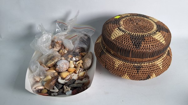 Lot 1391 - SEA SHELLS