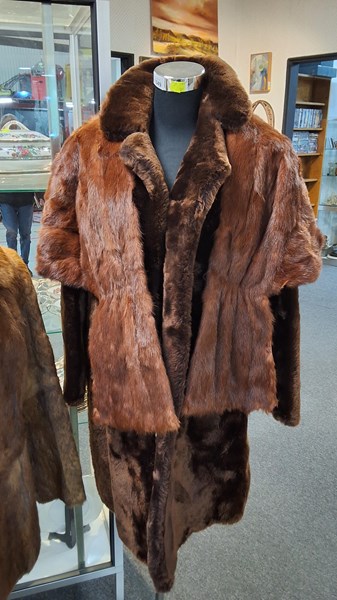 Lot 1349 - FURS