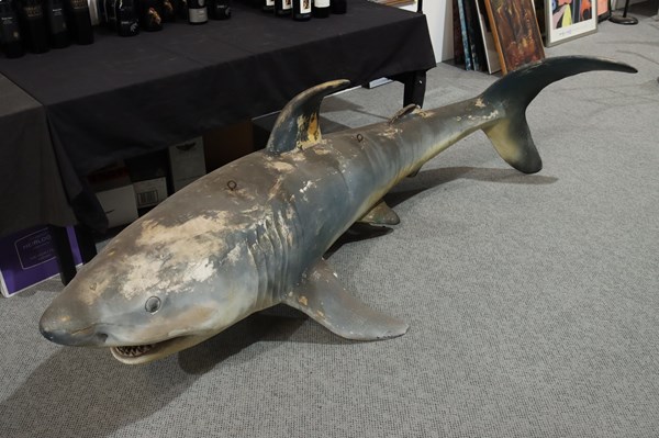 Lot 417 - HANGING SHARK