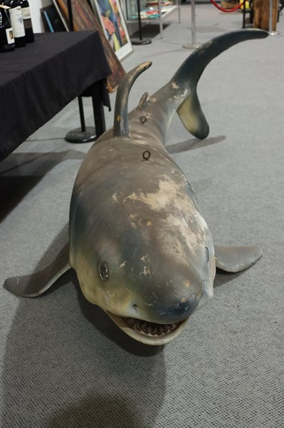 Lot 417 - HANGING SHARK