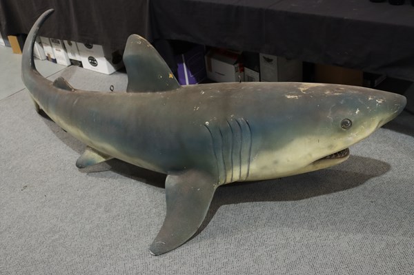 Lot 417 - HANGING SHARK
