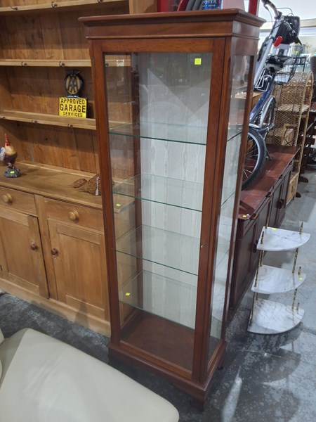 Lot 203 - DISPLAY CABINET