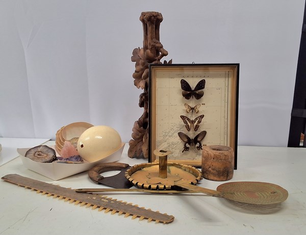 Lot 1143 - NATURAL HISTORY SUNDRIES