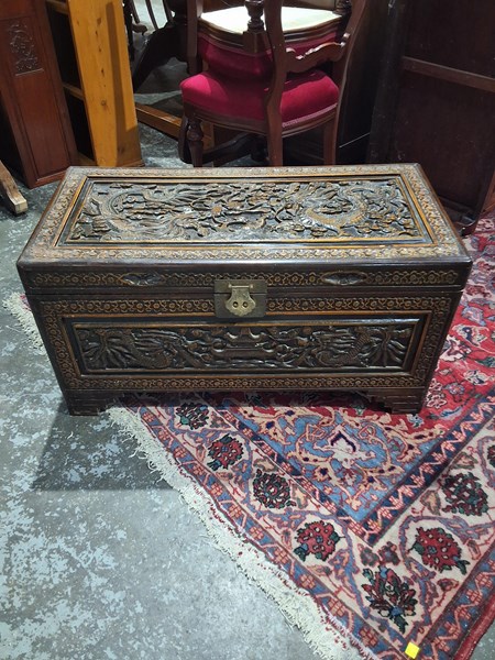 Lot 224 - CAMPHORWOOD TRUNK