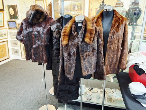 Lot 1208 - FURS