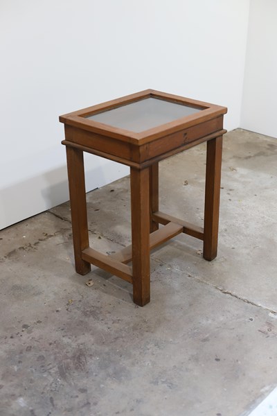 Lot 93 - DISPLAY TABLE