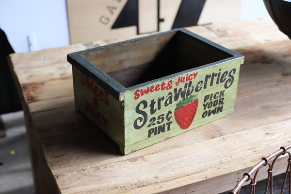Lot 61 - STORAGE BOX