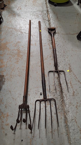 Lot 507 - GARDEN FORKS