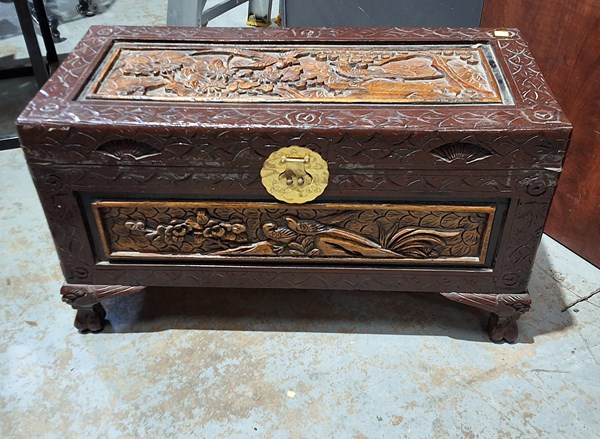 Lot 43 - CAMPHOR WOOD TRUNK