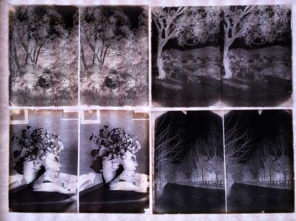 Lot 1163 - GLASS PLATE NEGATIVES