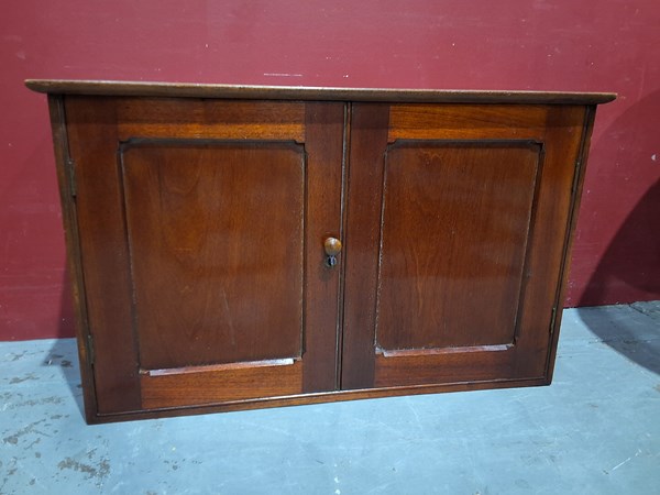 Lot 33 - COUNTERTOP CABINET