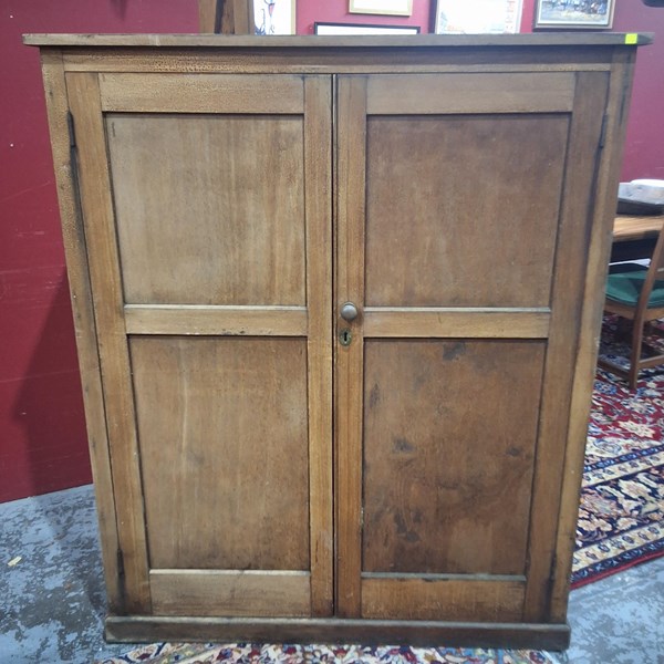 Lot 253 - SCHOOL CUPBOARD
