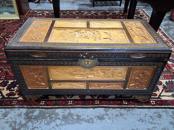 Lot 13 - CAMPHORWOOD TRUNK