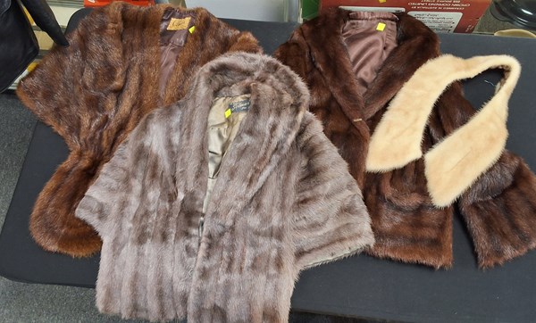 Lot 1200 - FURS
