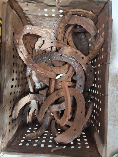 Lot 307 - HORSESHOES