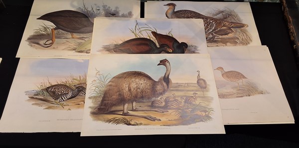 Lot 1398 - JOHN GOULD PRINTS