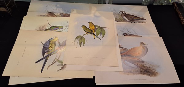 Lot 1400 - JOHN GOULD PRINTS