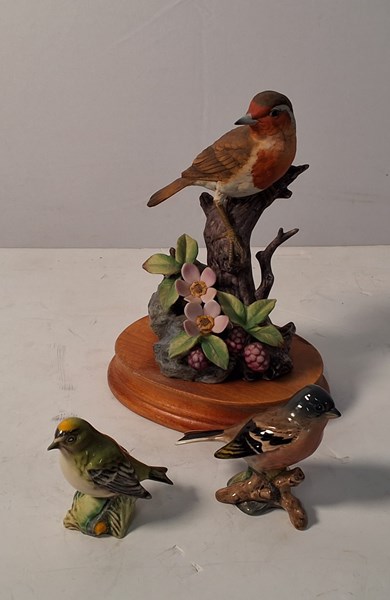 Lot 1407 - SONGBIRDS