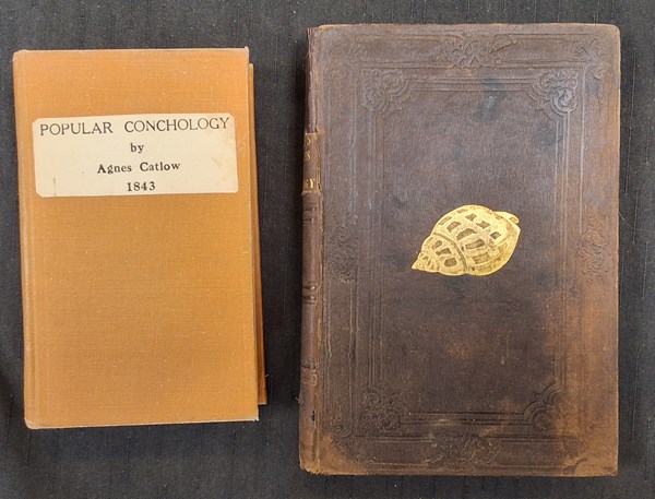 Lot 1313 - ANTIQUARIAN CONCHOLOGY