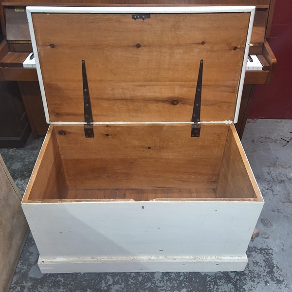 Lot 319 - TRUNK