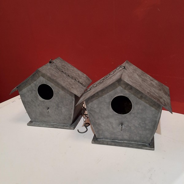 Lot 209 - STEEL BIRD HIDES