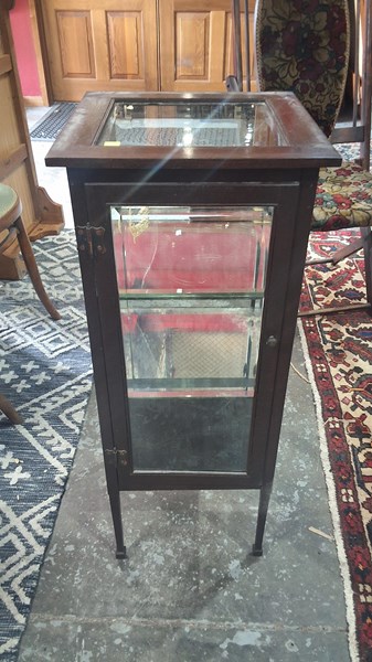 Lot 72 - DISPLAY CABINET