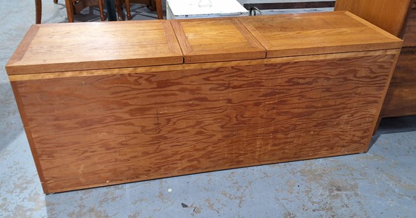 Lot 219 - STORAGE TRUNK