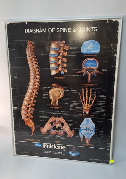 Lot 1483 - MEDICAL PRINT