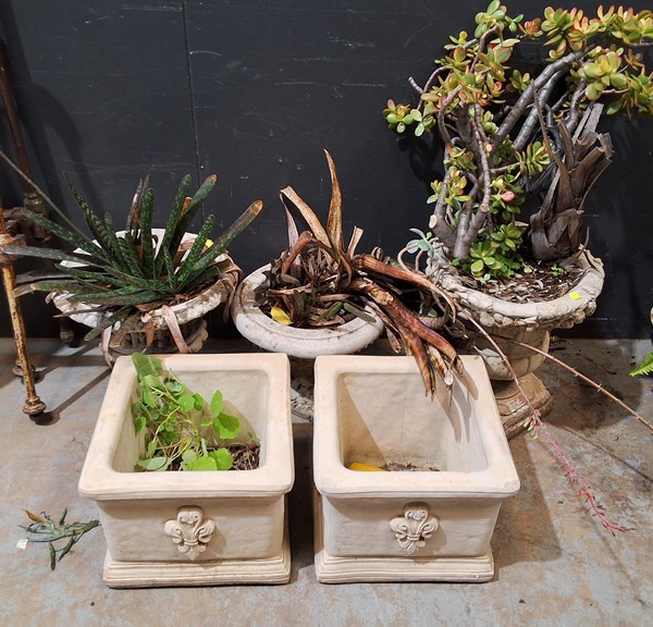 Lot 378 - GARDEN PLANTERS