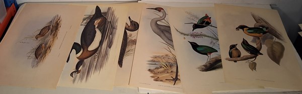 Lot 1450 - JOHN GOULD PRINTS