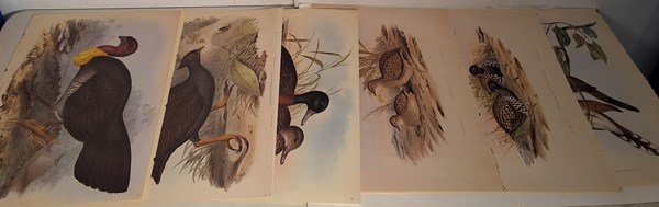 Lot 1452 - JOHN GOULD PRINTS