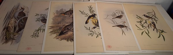 Lot 1302 - JOHN GOULD PRINTS