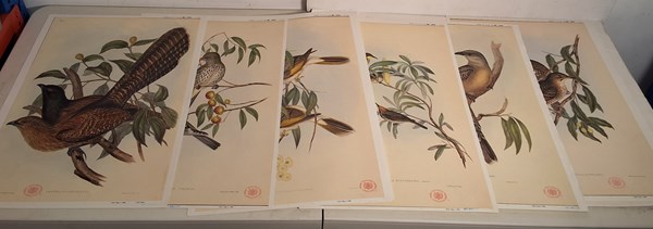 Lot 1301 - JOHN GOULD PRINTS