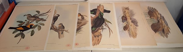 Lot 1156 - JOHN GOULD PRINTS