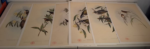 Lot 1155 - JOHN GOULD PRINTS