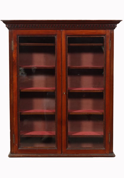 Lot 25 - DISPLAY CABINET