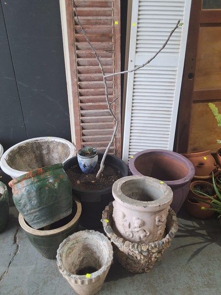 Lot 292 - PLANT POTS