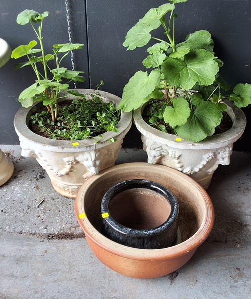 Lot 286 - PLANT POTS