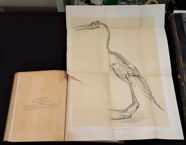 Lot 1251 - MARSH, OTHNIEL CHARLES