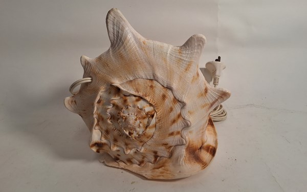 Lot 1280 - SHELL LAMP