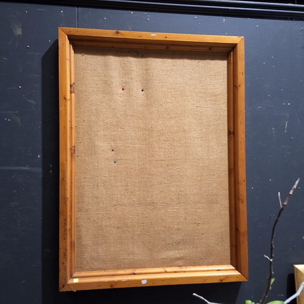 Lot 293 - PIN BOARD