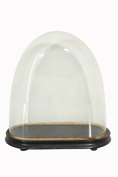 Lot 110 - GLASS DISPLAY DOME