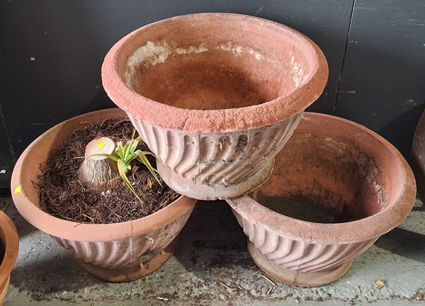 Lot 443 - PLANT POTS