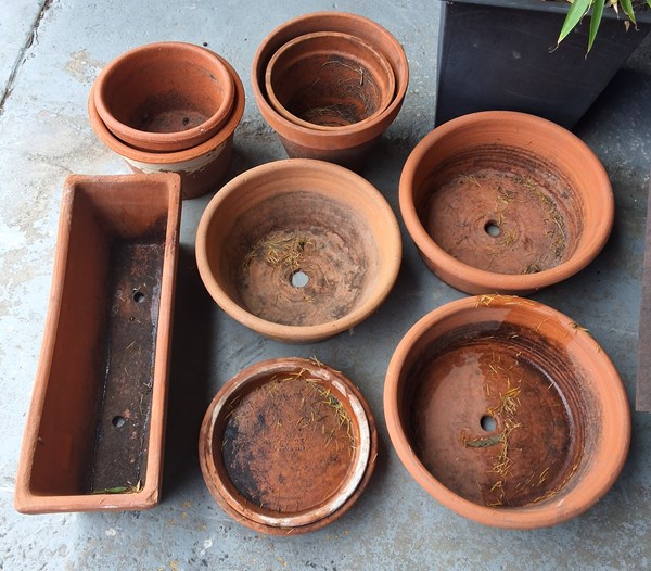 Lot 436 - TERRACOTTA POTS